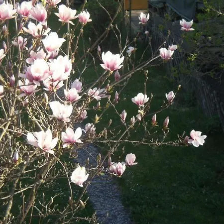 Apartment Gemuetliche Ferienwohung Mit Grossem Garten Bad Duerrheim
